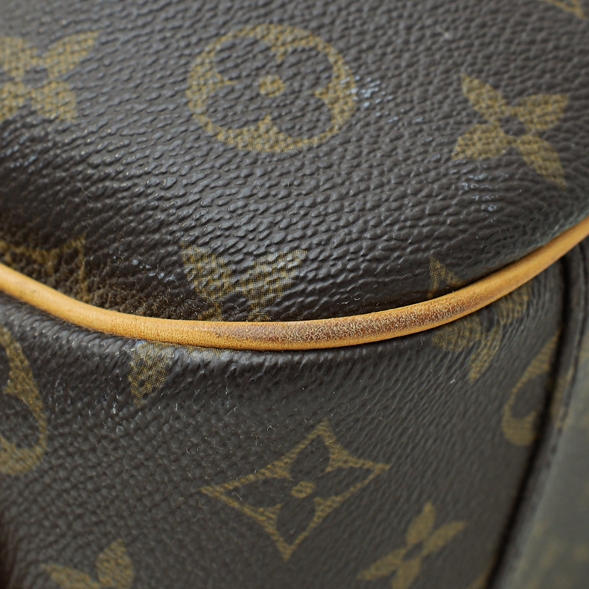 Louis Vuitton Brown Ltd.Ed. Monogram Mizi Bag