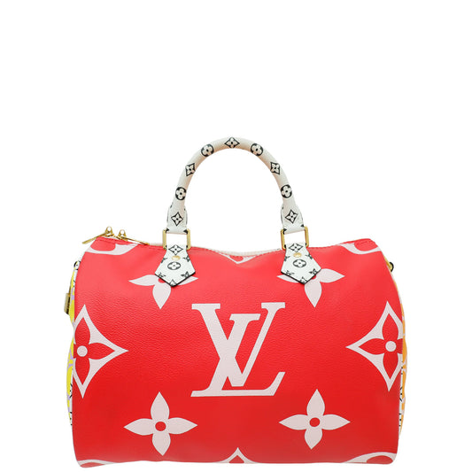 Louis Vuitton Multicolor Ltd. Ed. Monogram Giant Speedy Bandouliere 30 Bag