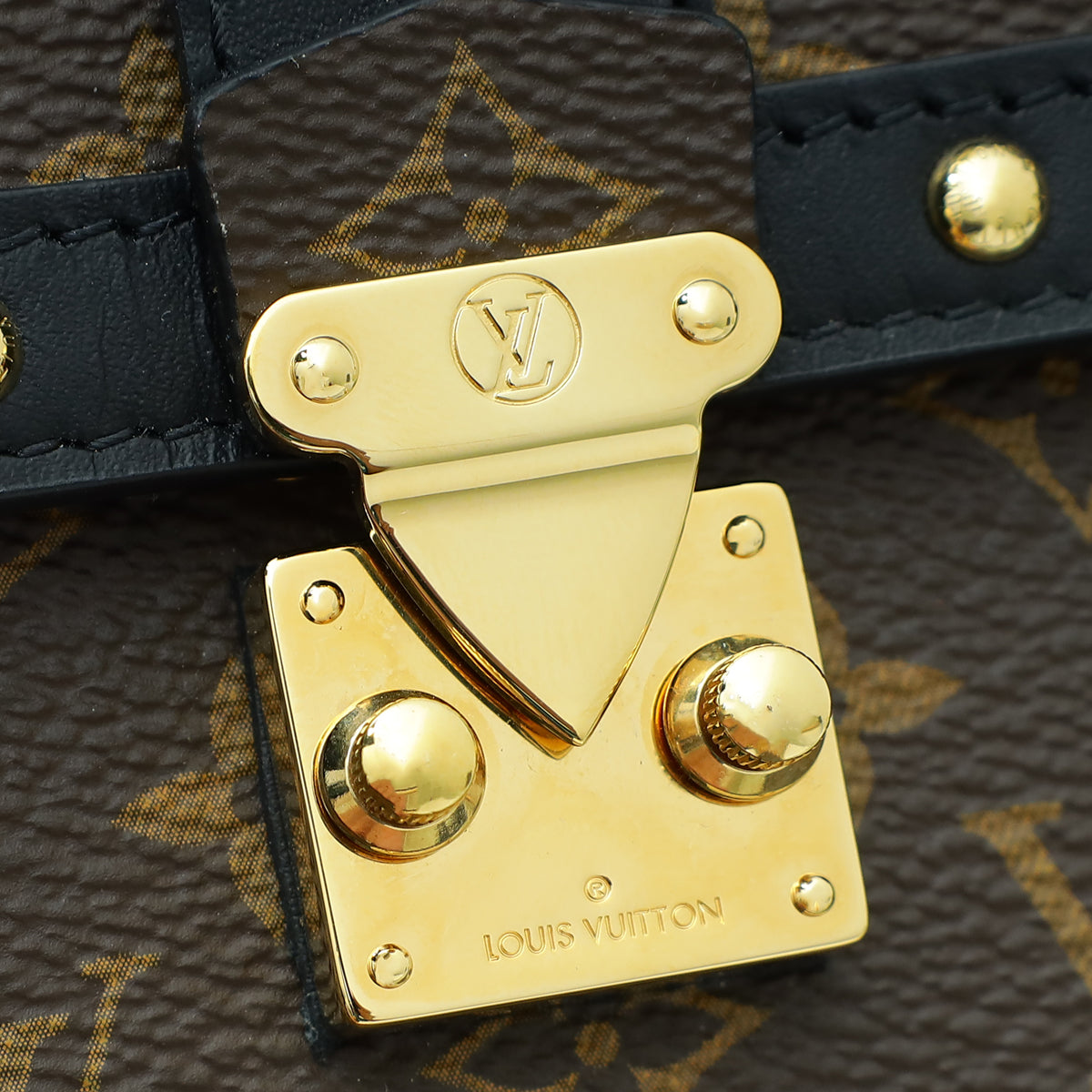 Louis Vuitton Bicolor Monogram Vertical Trunk Pochette