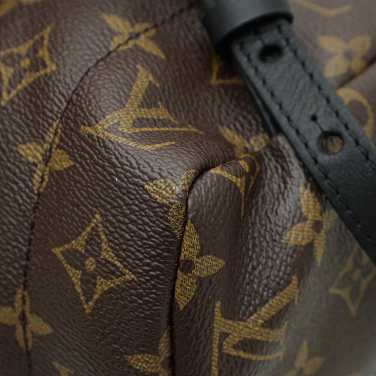 Louis Vuitton Monogram Black Palm Spring MM Bag