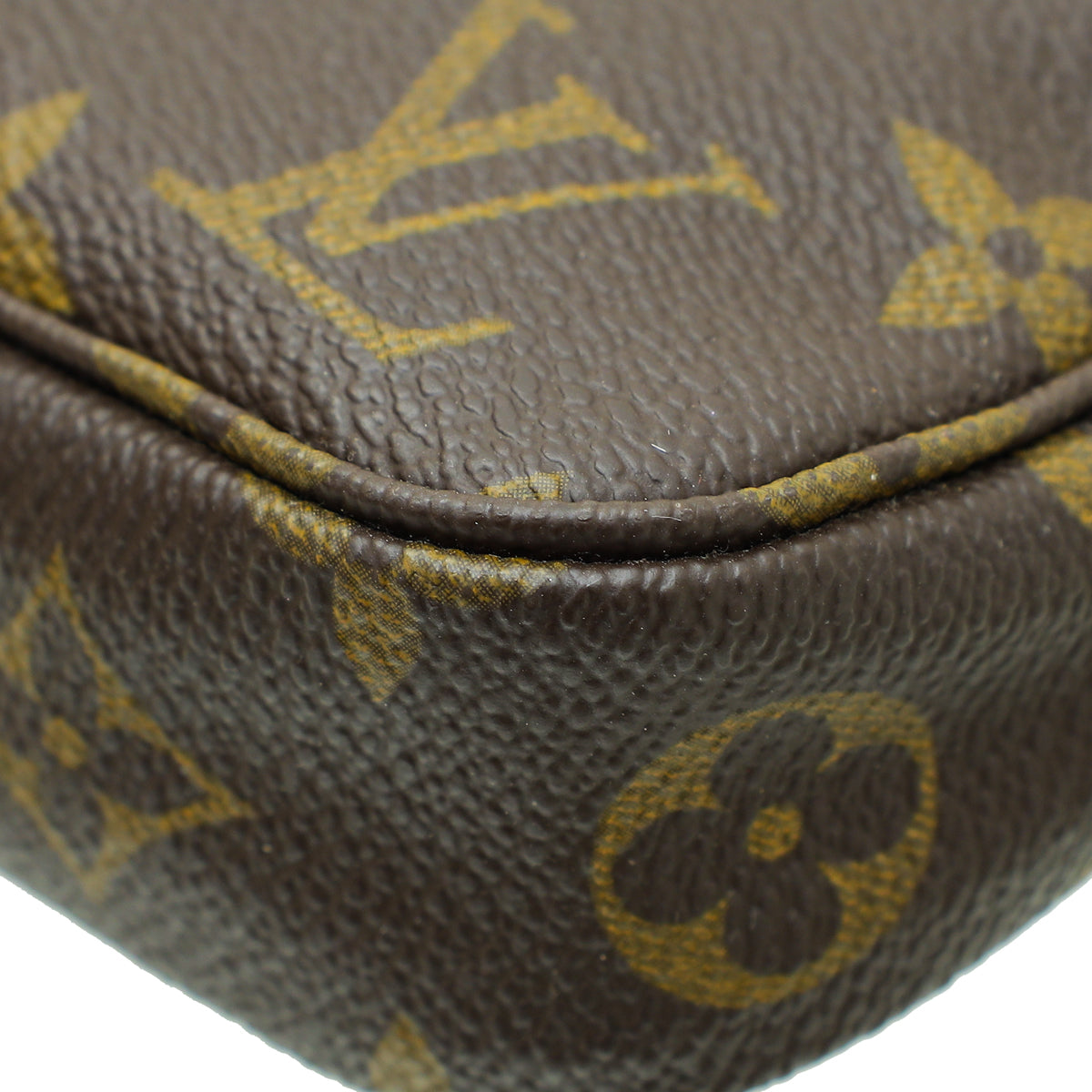 Louis Vuitton Monogram Pochette Accessoires