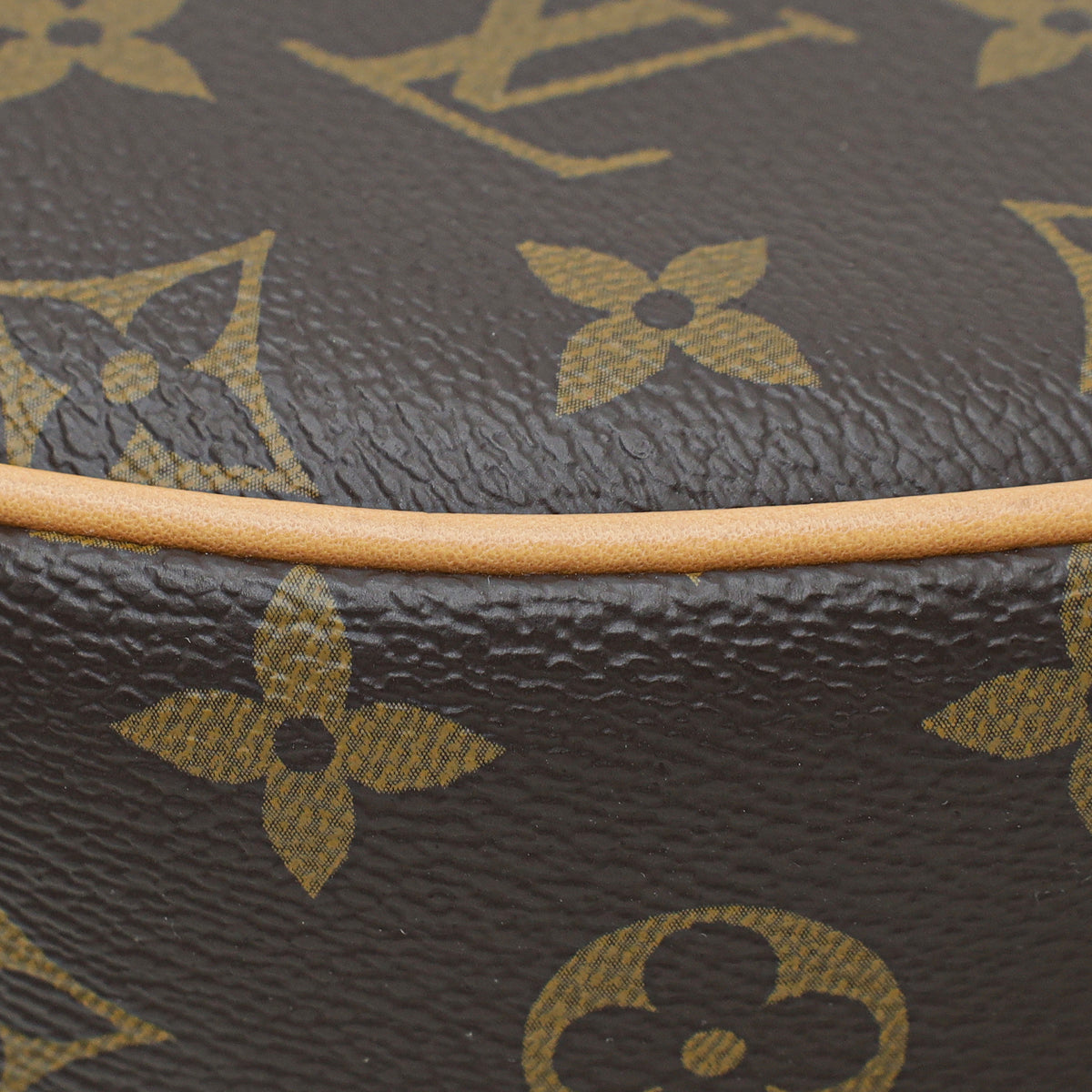 Louis Vuitton Brown Monogram Loop Bag