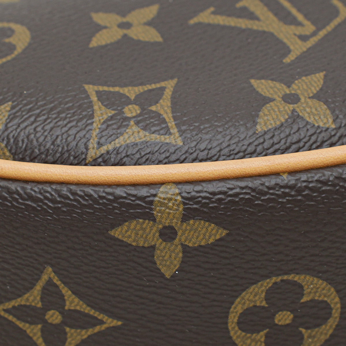 Louis Vuitton Brown Monogram Loop Bag