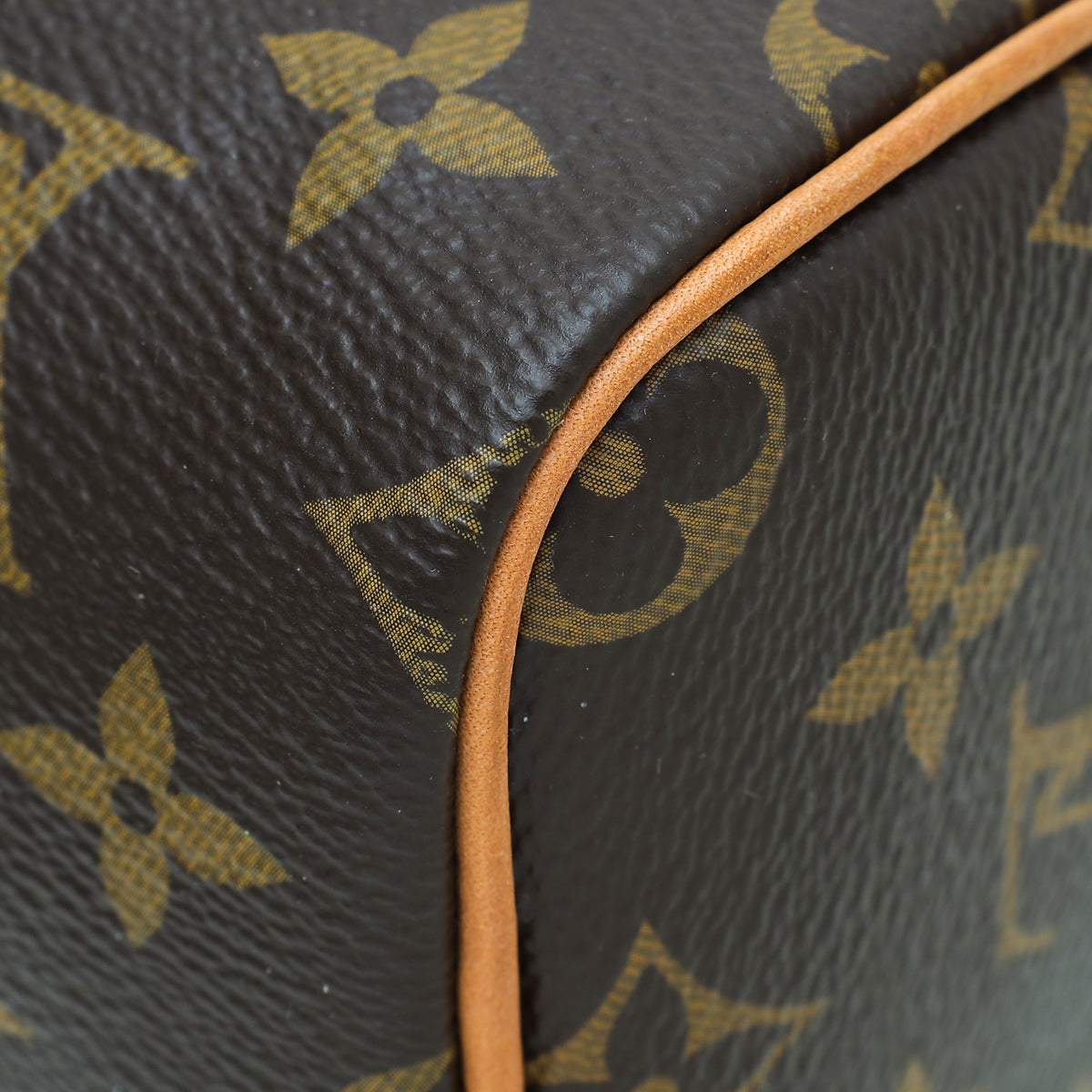 Louis Vuitton Monogram Nano Speedy Bag