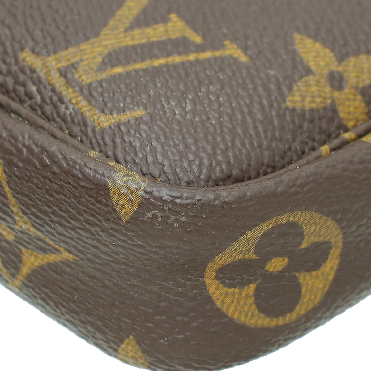 Louis Vuitton Monogram Pochette Accessories Mini Bag