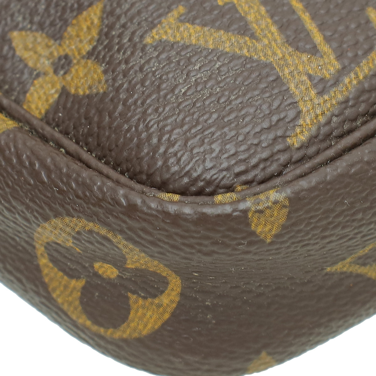 Louis Vuitton Monogram Pochette Accessories Mini Bag