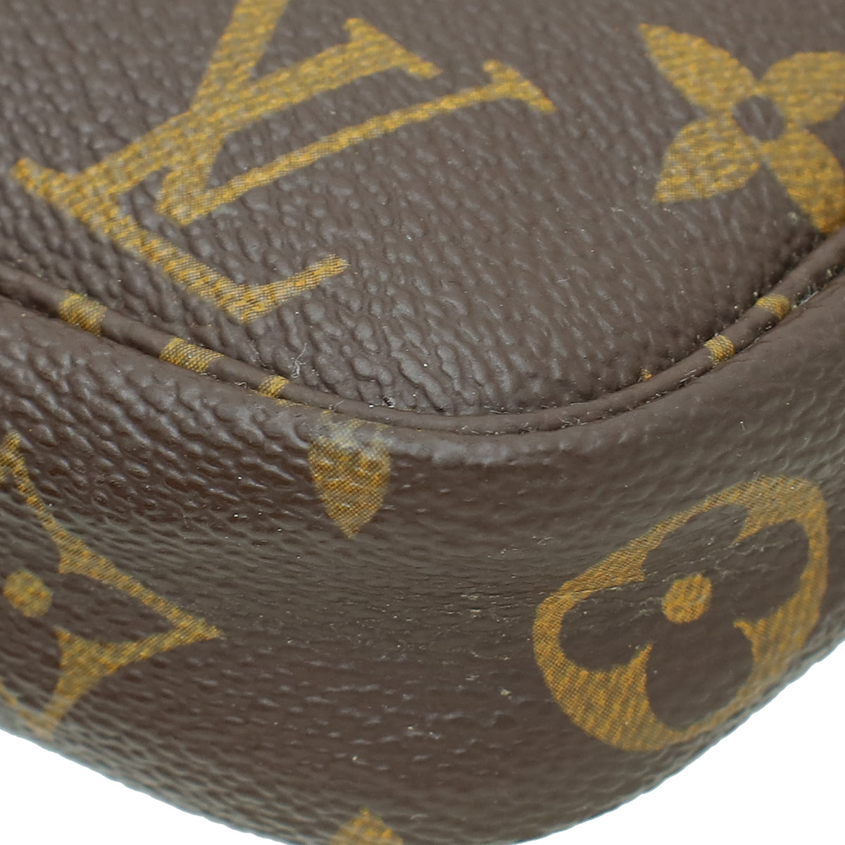 Louis Vuitton Monogram Pochette Accessories Mini Bag