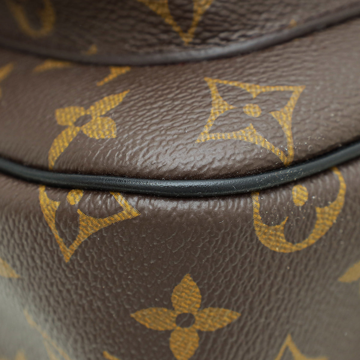 Louis Vuitton Monogram Passy Bag