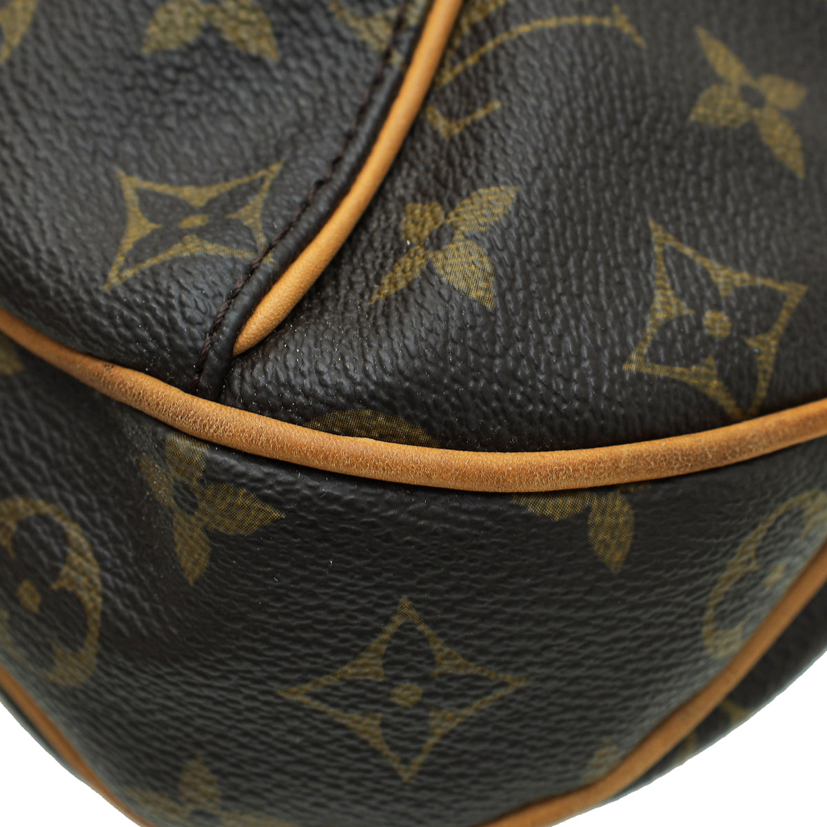 Louis Vuitton Monogram Thames Hobo Bag