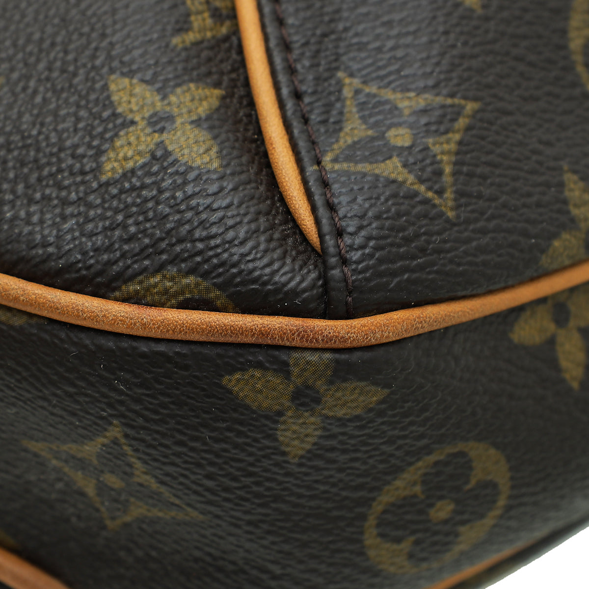 Louis Vuitton Monogram Thames Hobo Bag