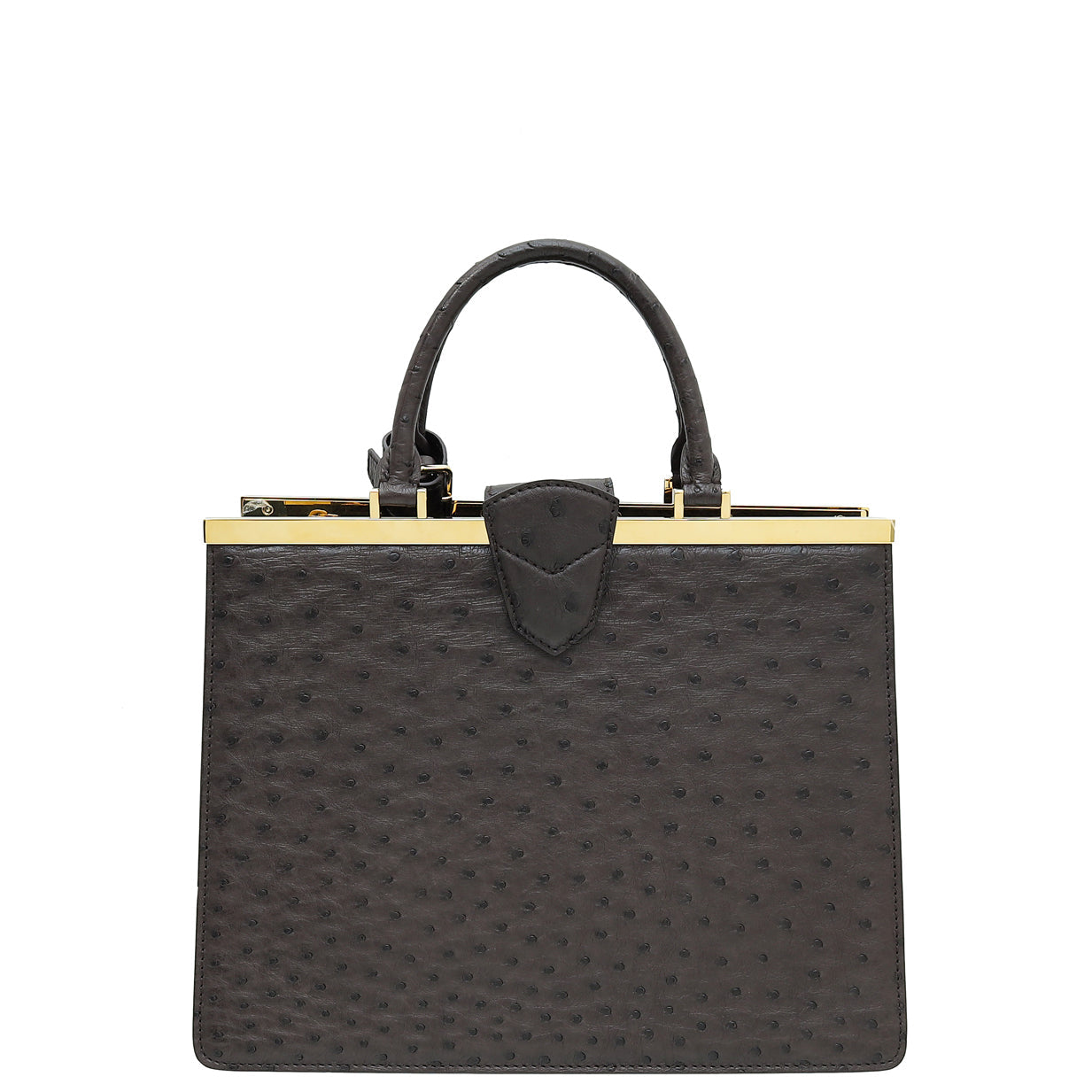 Louis Vuitton Chocolate Brown Ostrich Deesse MM Bag