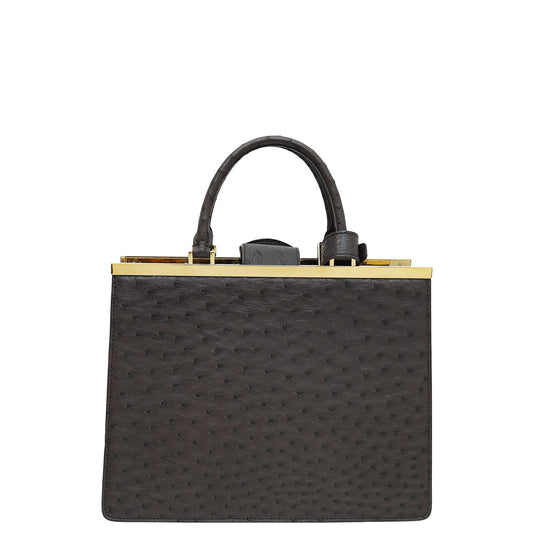 Louis Vuitton Chocolate Brown Ostrich Deesse MM Bag