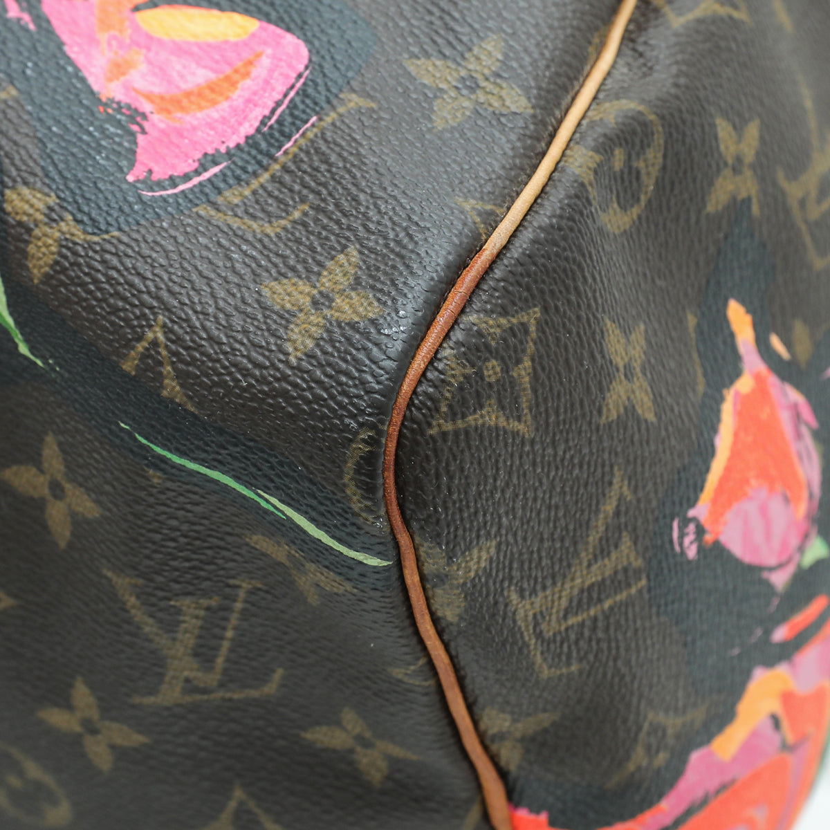 Louis Vuitton Monogram Mullticolor Stephen Sprouse Roses Speedy 30 Bag