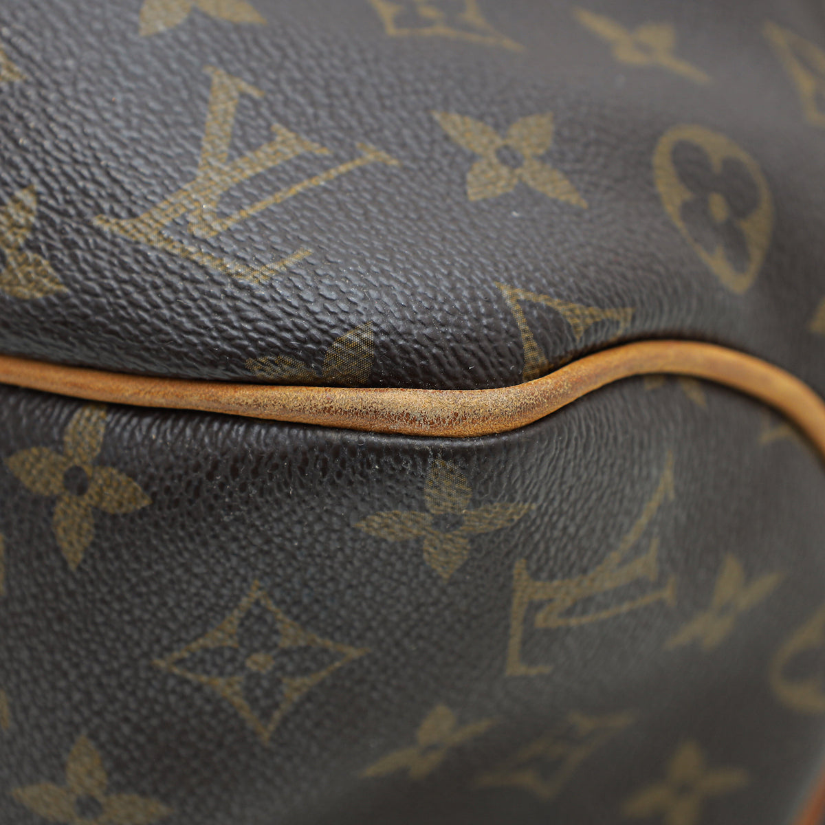 Louis Vuitton Brown Monogram Delightful MM Bag