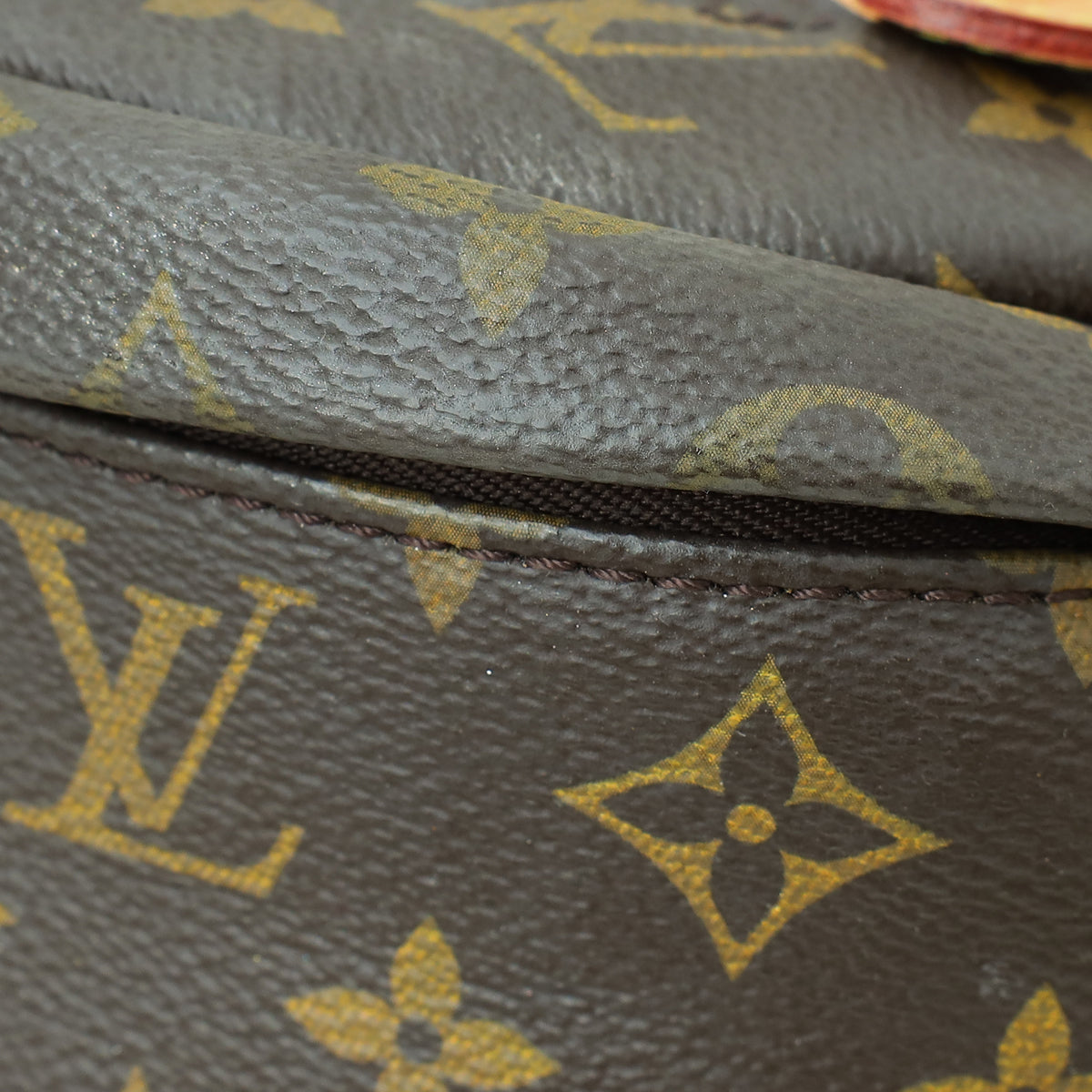 Louis Vuitton Monogram Bumbag