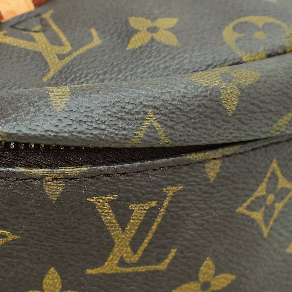 Louis Vuitton Monogram Bumbag