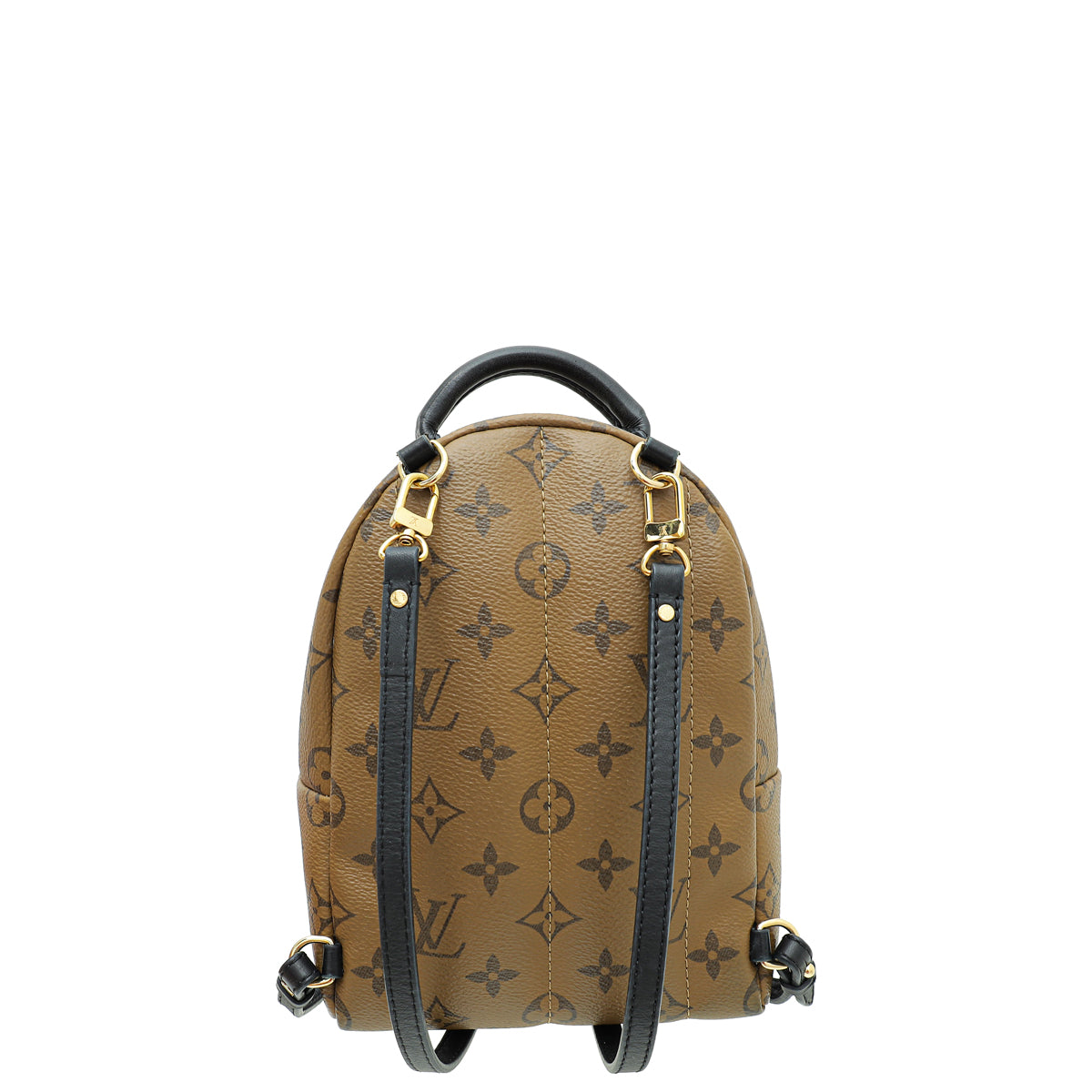 Louis Vuitton Monogram Reverse Palm Spring Mini Bag