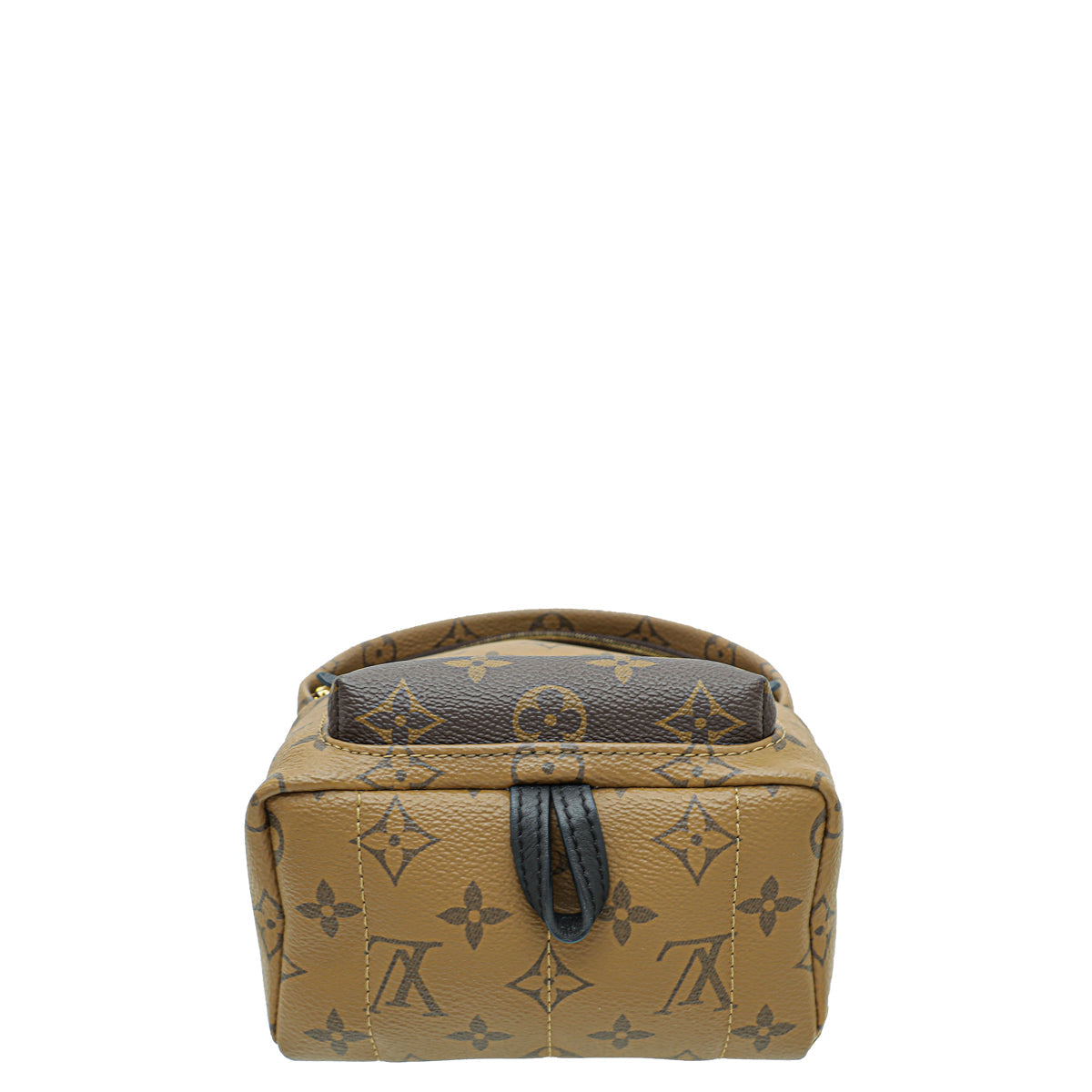 Louis Vuitton Monogram Reverse Palm Spring Mini Bag