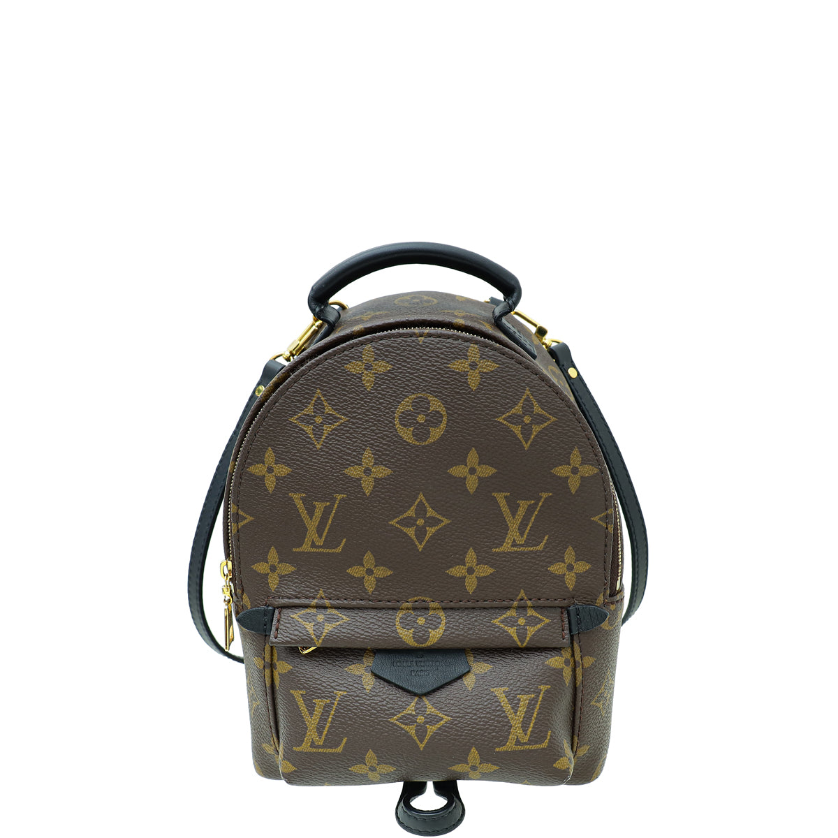 Louis Vuitton Monogram Palm Spring Mini Backpack Bag