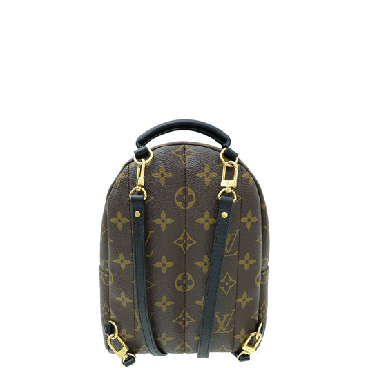 Louis Vuitton Monogram Palm Spring Mini Backpack Bag