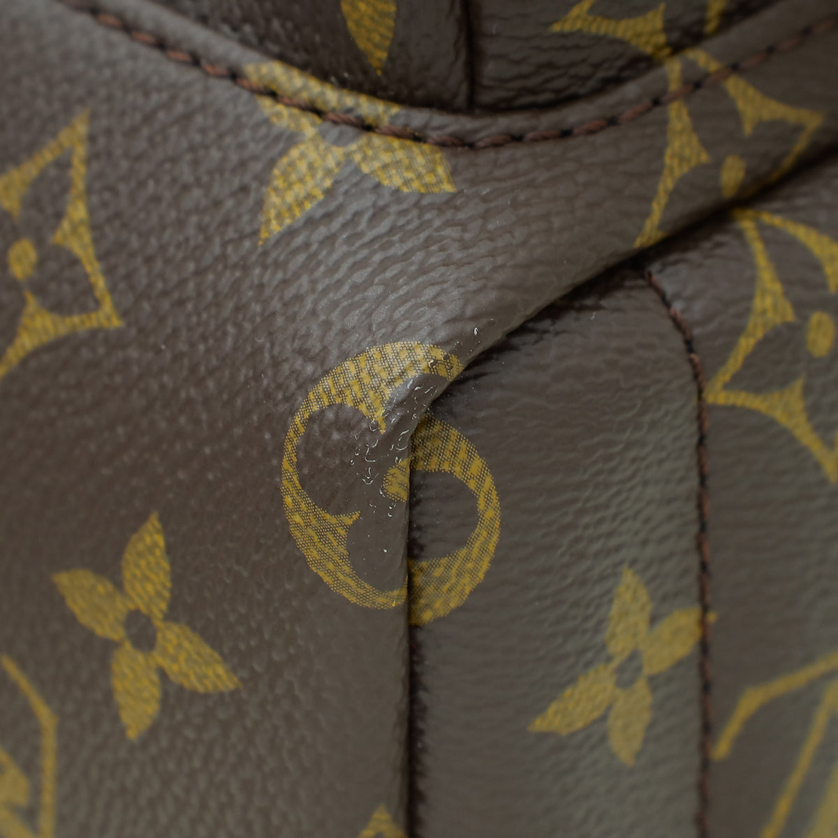 Louis Vuitton Monogram Palm Spring Mini Backpack Bag