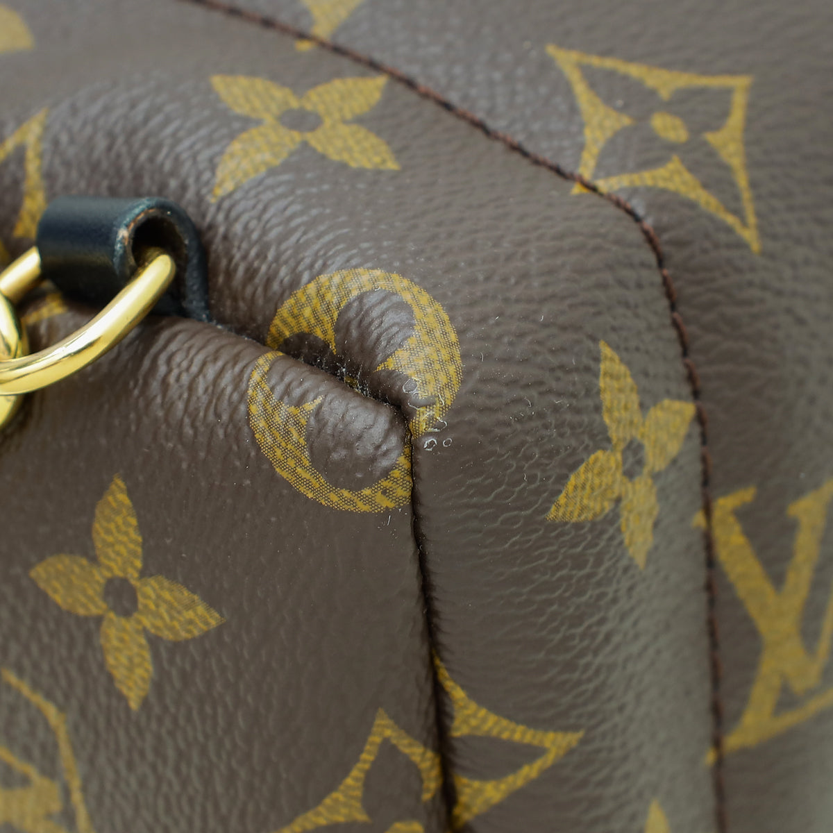 Louis Vuitton Monogram Palm Spring Mini Backpack Bag