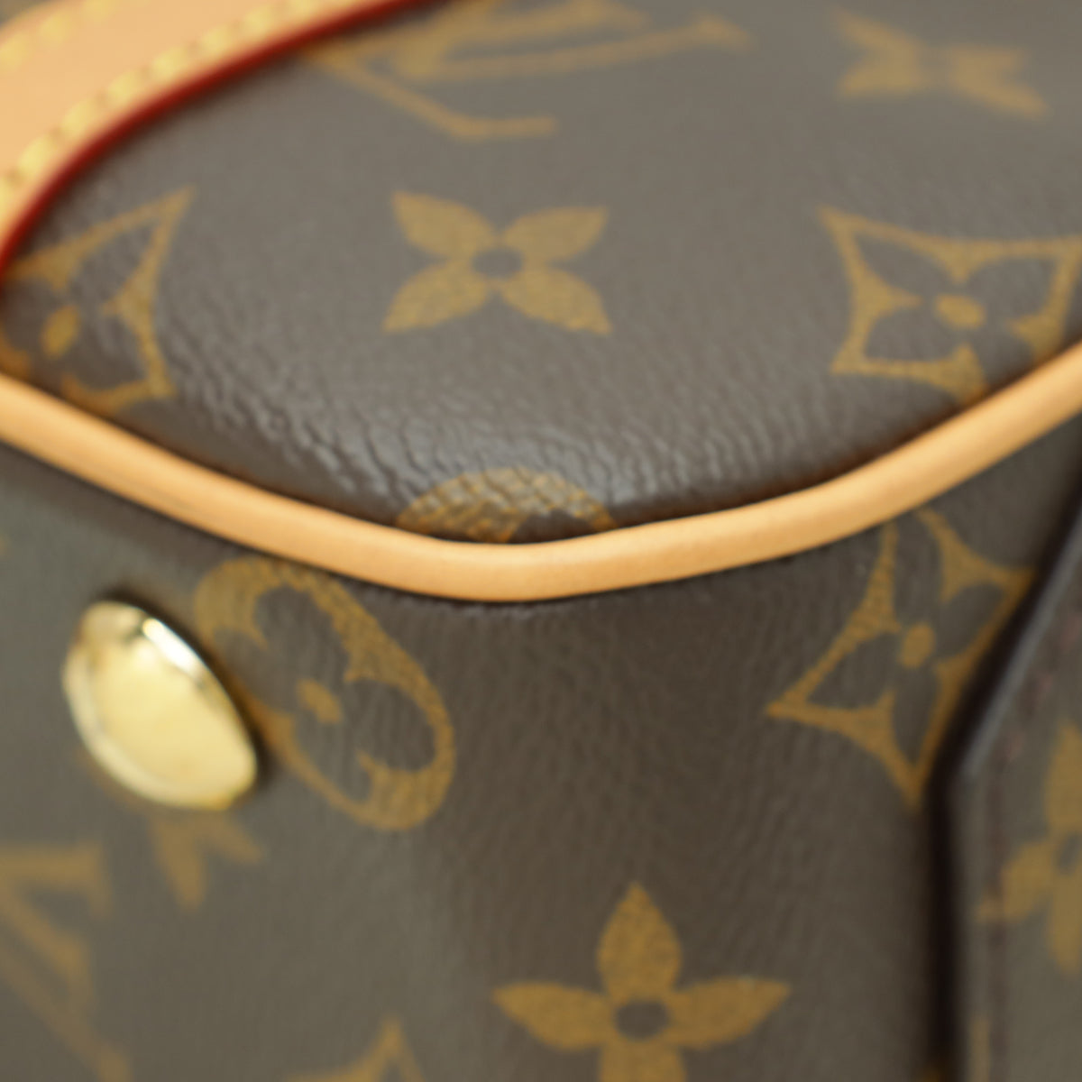 Louis Vuitton Monogram Cite Bag