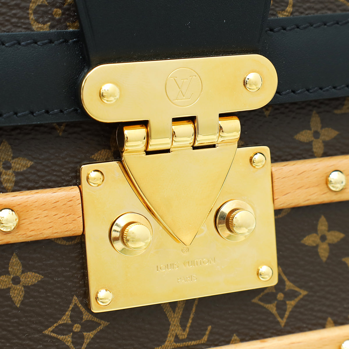 Louis Vuitton Bicolor Monogram Trianon PM Trunk Bag