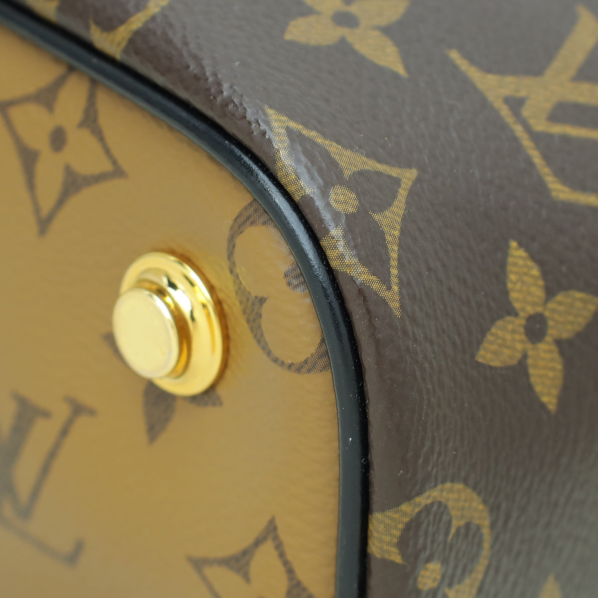 Louis Vuitton Bicolor Monogram/Monogram Reverse Vanity PM Bag