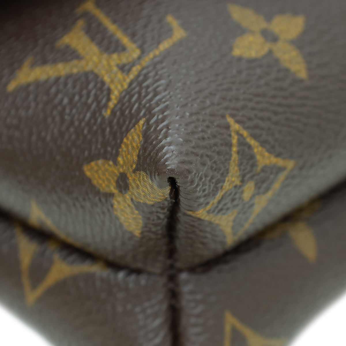 Louis Vuitton Bicolor Monogram Pochette Kabuki Bag