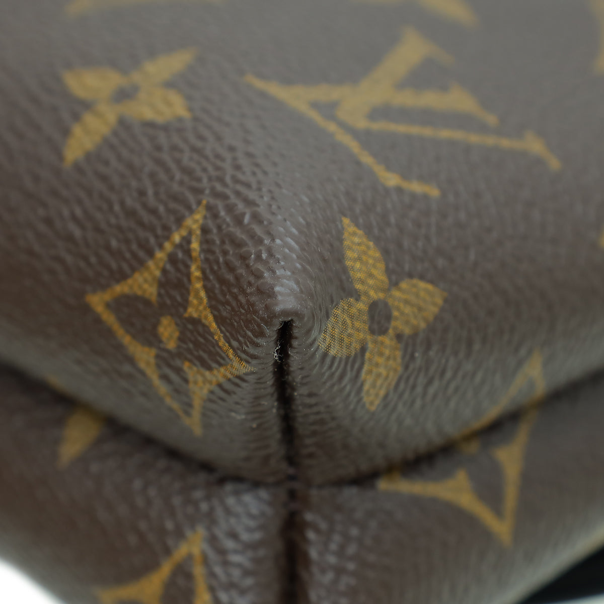 Louis Vuitton Bicolor Monogram Pochette Kabuki Bag