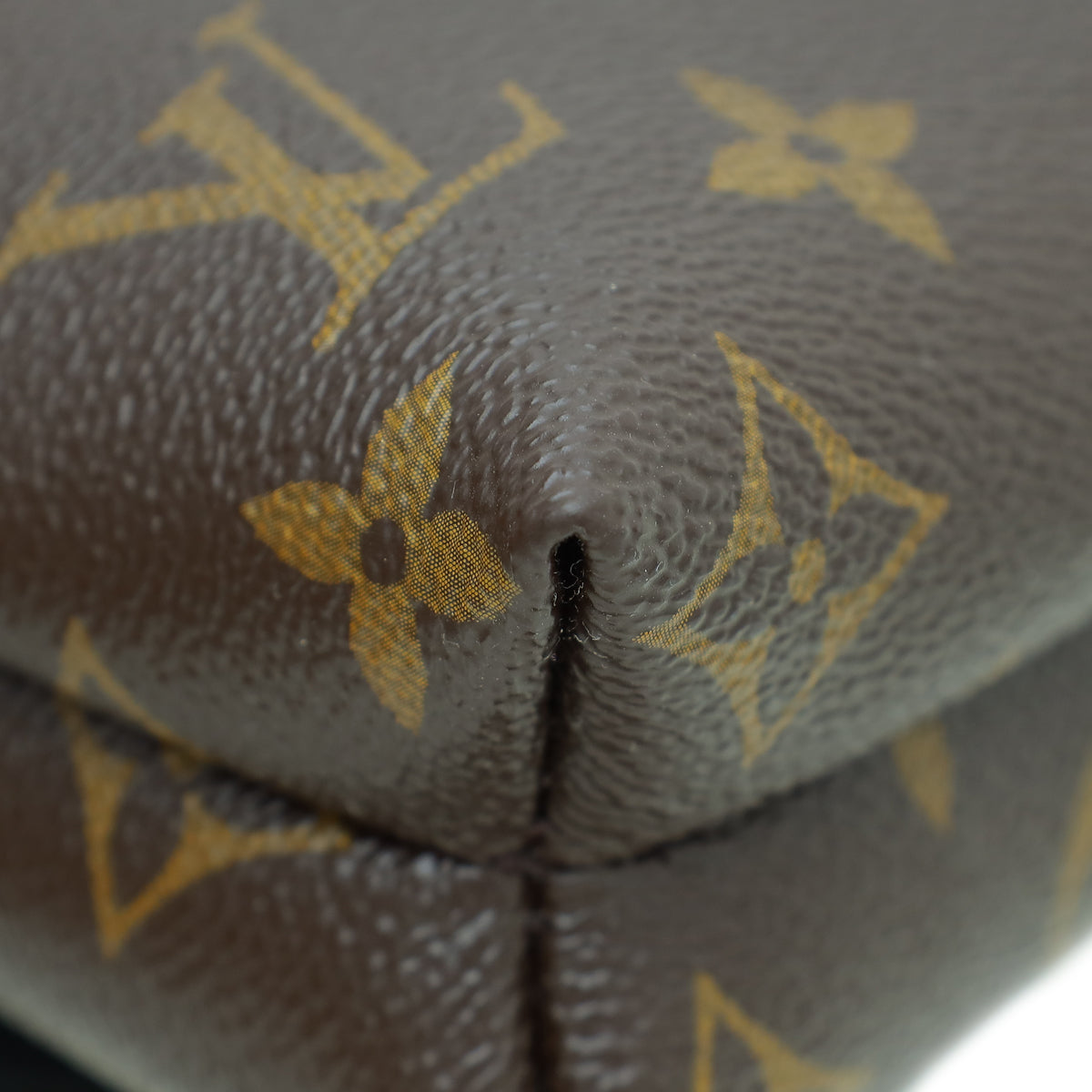 Louis Vuitton Bicolor Monogram Pochette Kabuki Bag