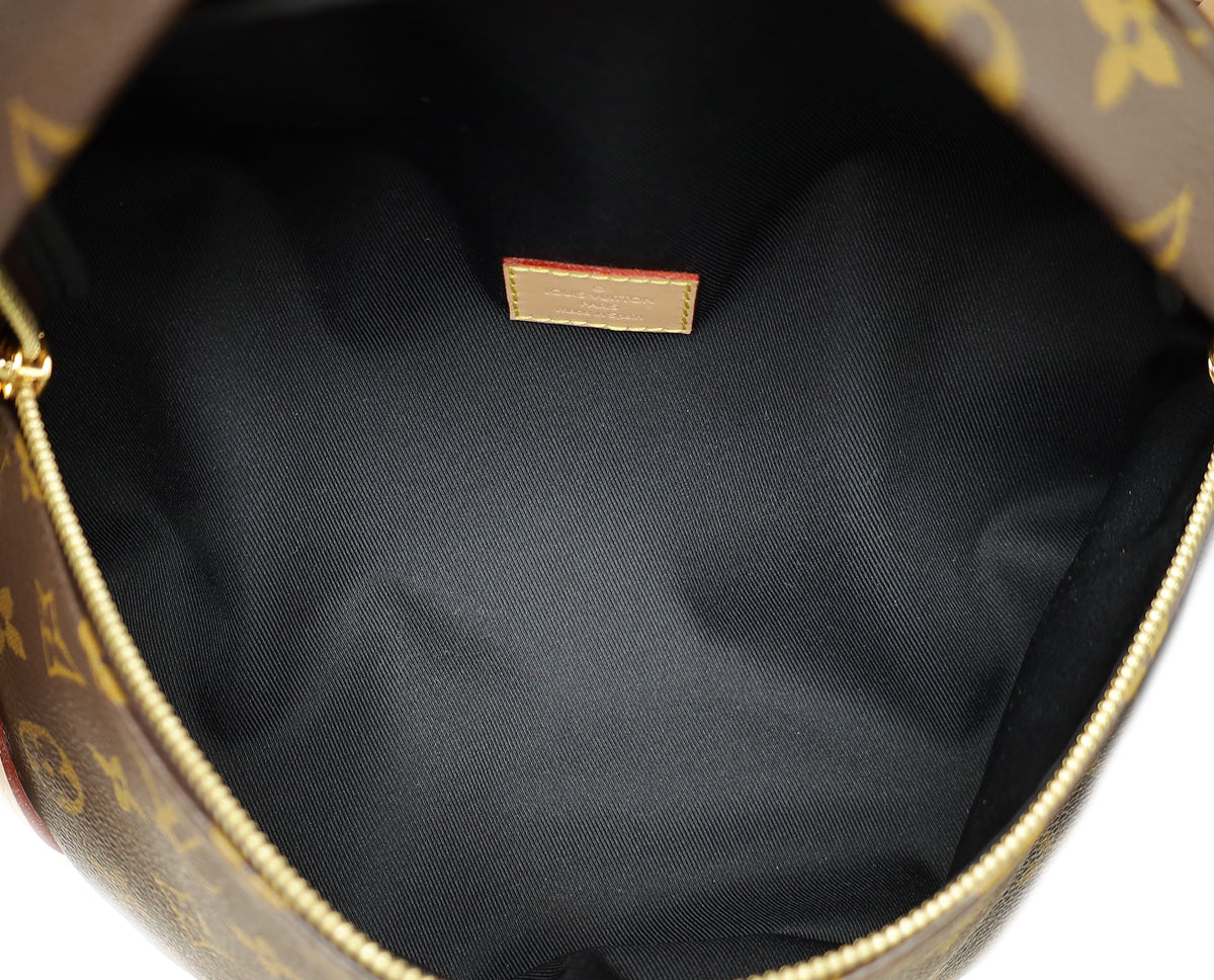 Louis Vuitton Brown Monogram Bumbag