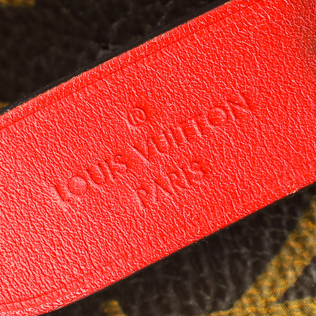 Louis Vuitton Monogram Coquelicot Neonoe Bag