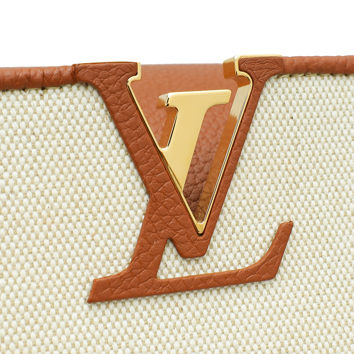 Louis Vuitton Bicolor Taurillon Capucines MM Bag