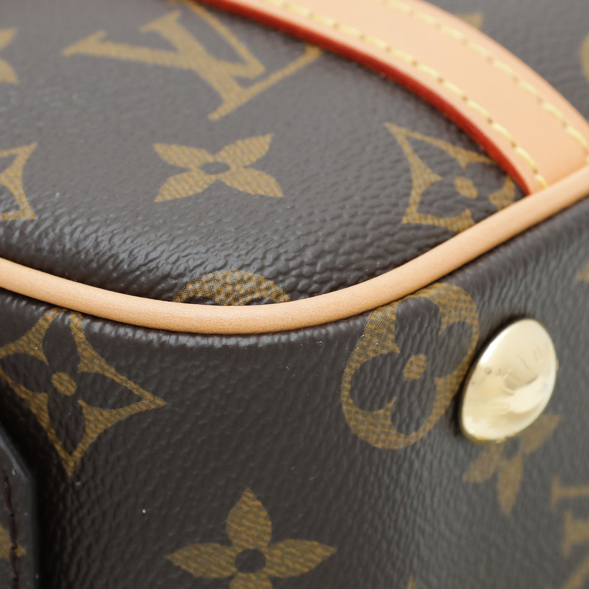 Louis Vuitton Monogram Cite Bag