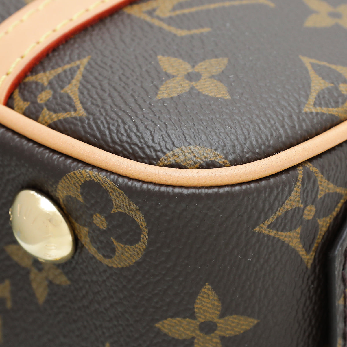 Louis Vuitton Monogram Cite Bag