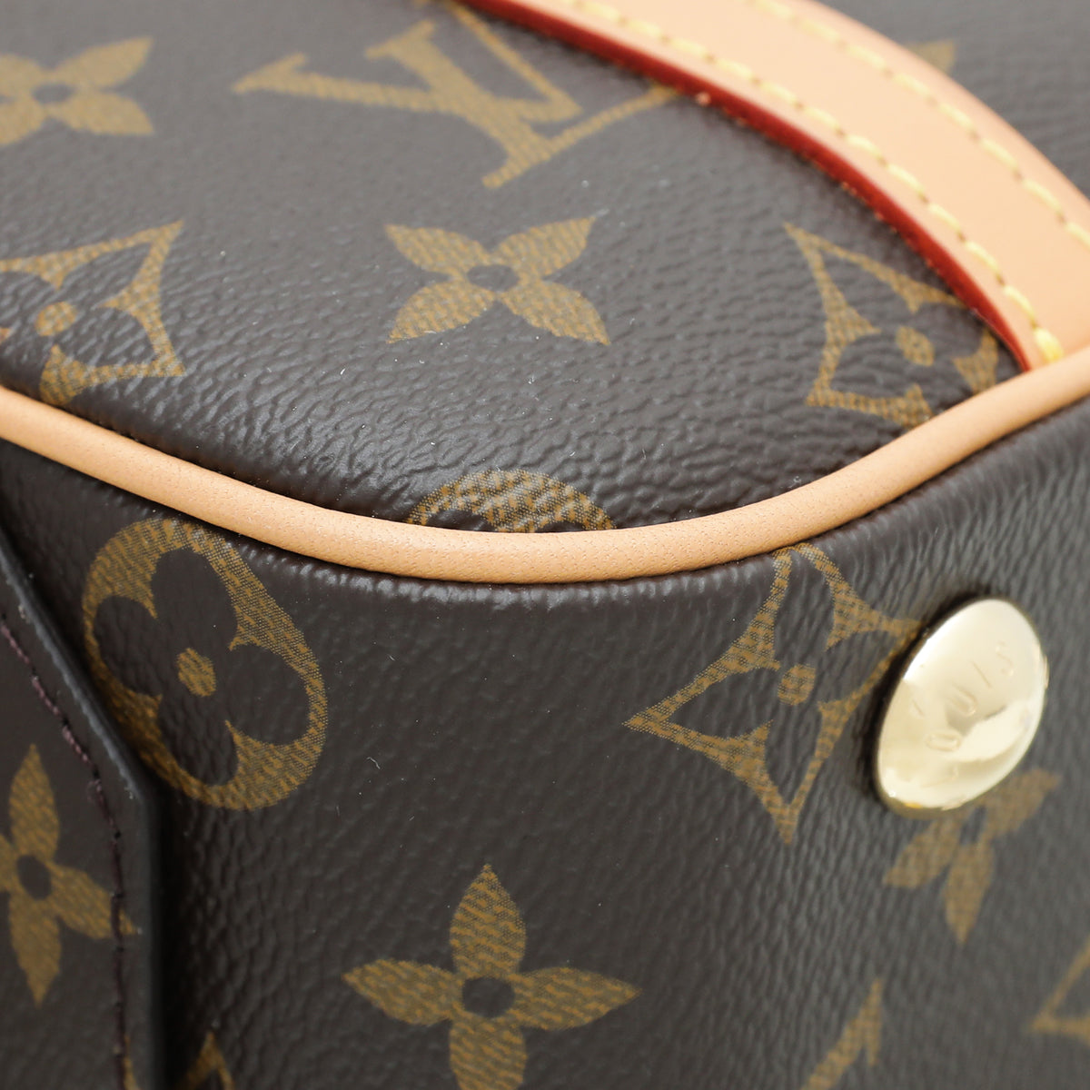 Louis Vuitton Monogram Cite Bag