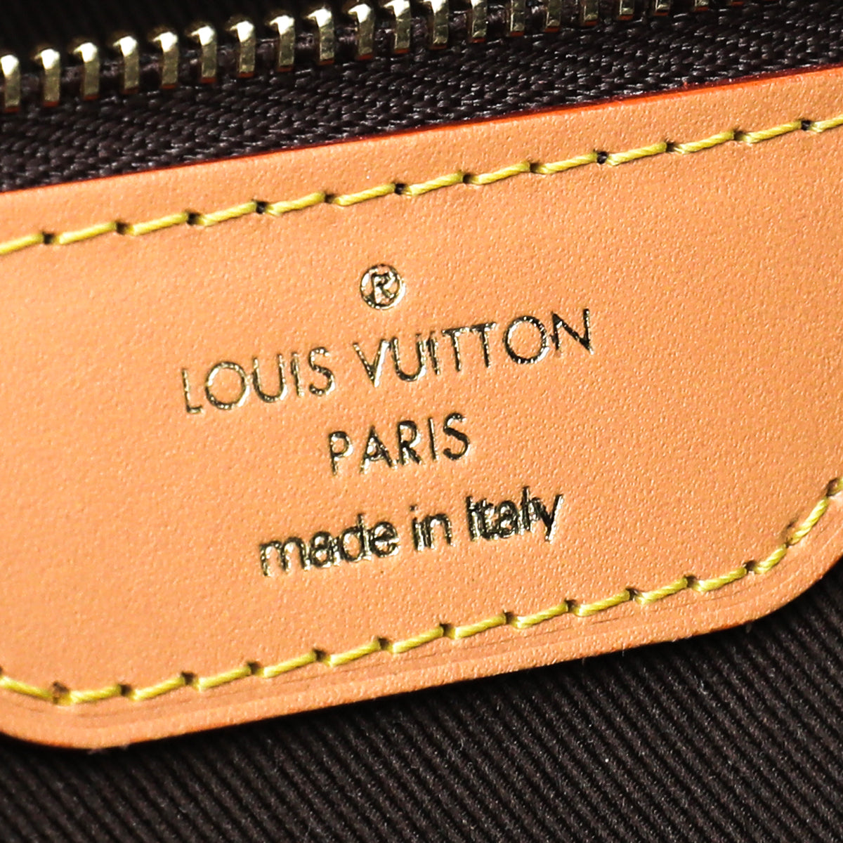 Louis Vuitton Monogram Cite Bag