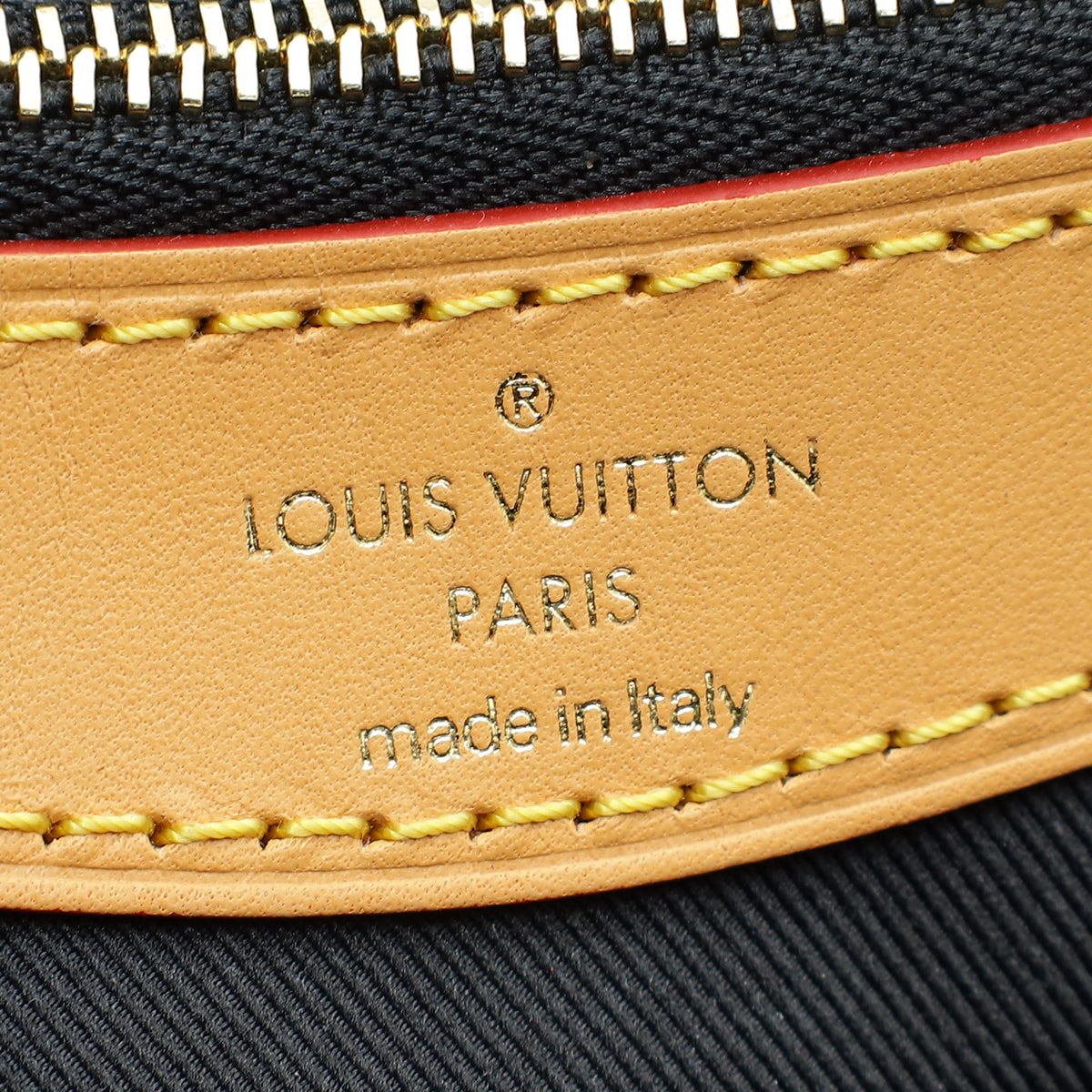 Louis Vuitton Monogram Diane Satchel Bag