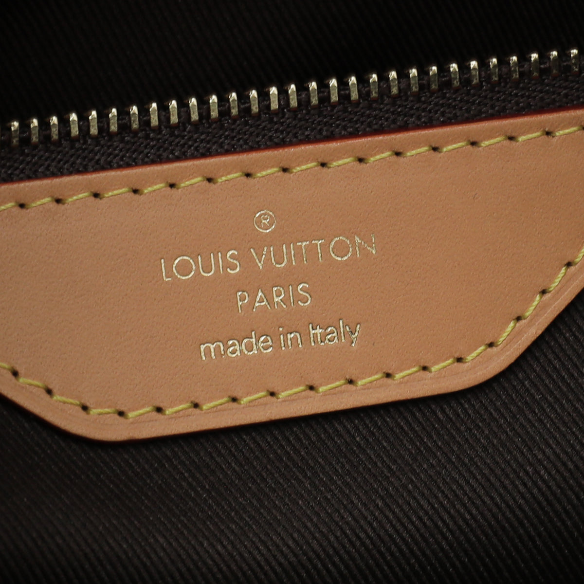 Louis Vuitton Brown Monogram Cite Bag