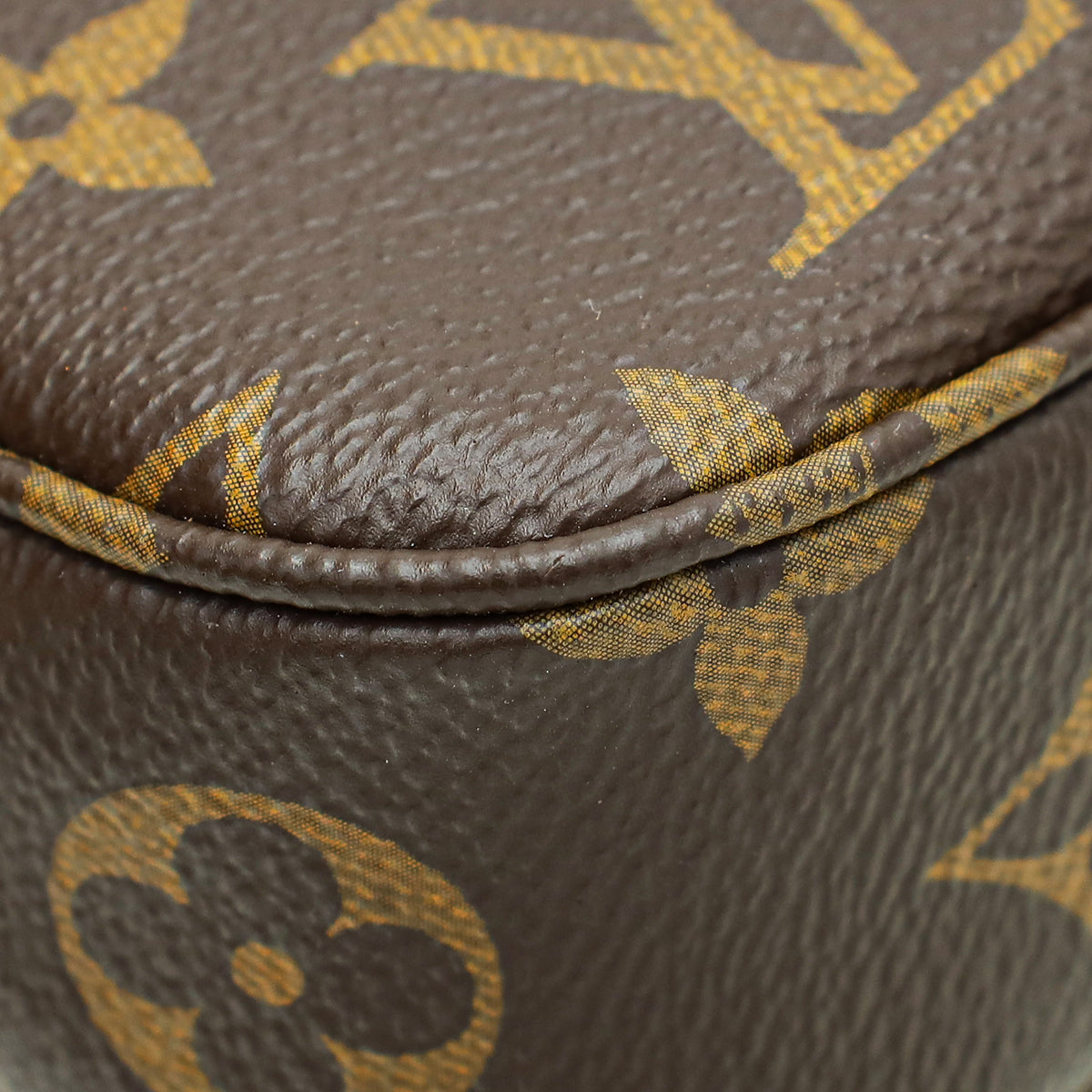 Louis Vuitton Monogram Pochette Accessories NM