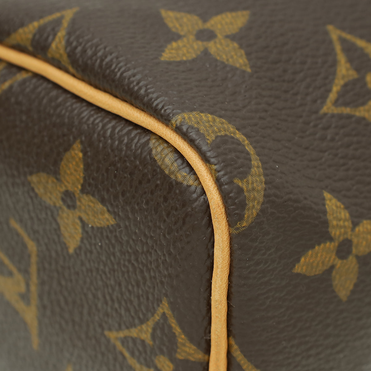 Louis Vuitton Brown Monogram Nano Speedy Bag