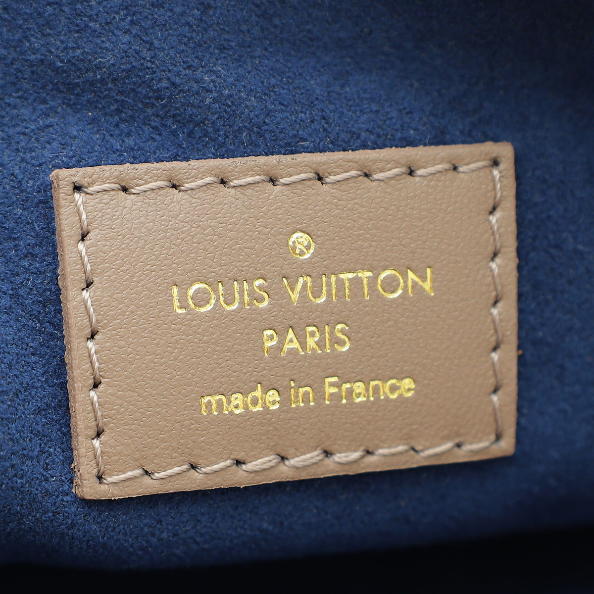 Louis Vuitton Taupe Embossed Monogram Coussin PM Bag