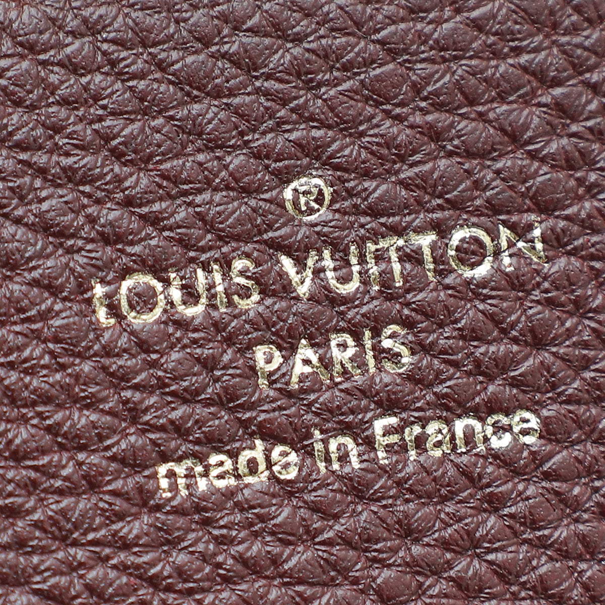 Louis Vuitton Bicolor Monogram Olympe Bag