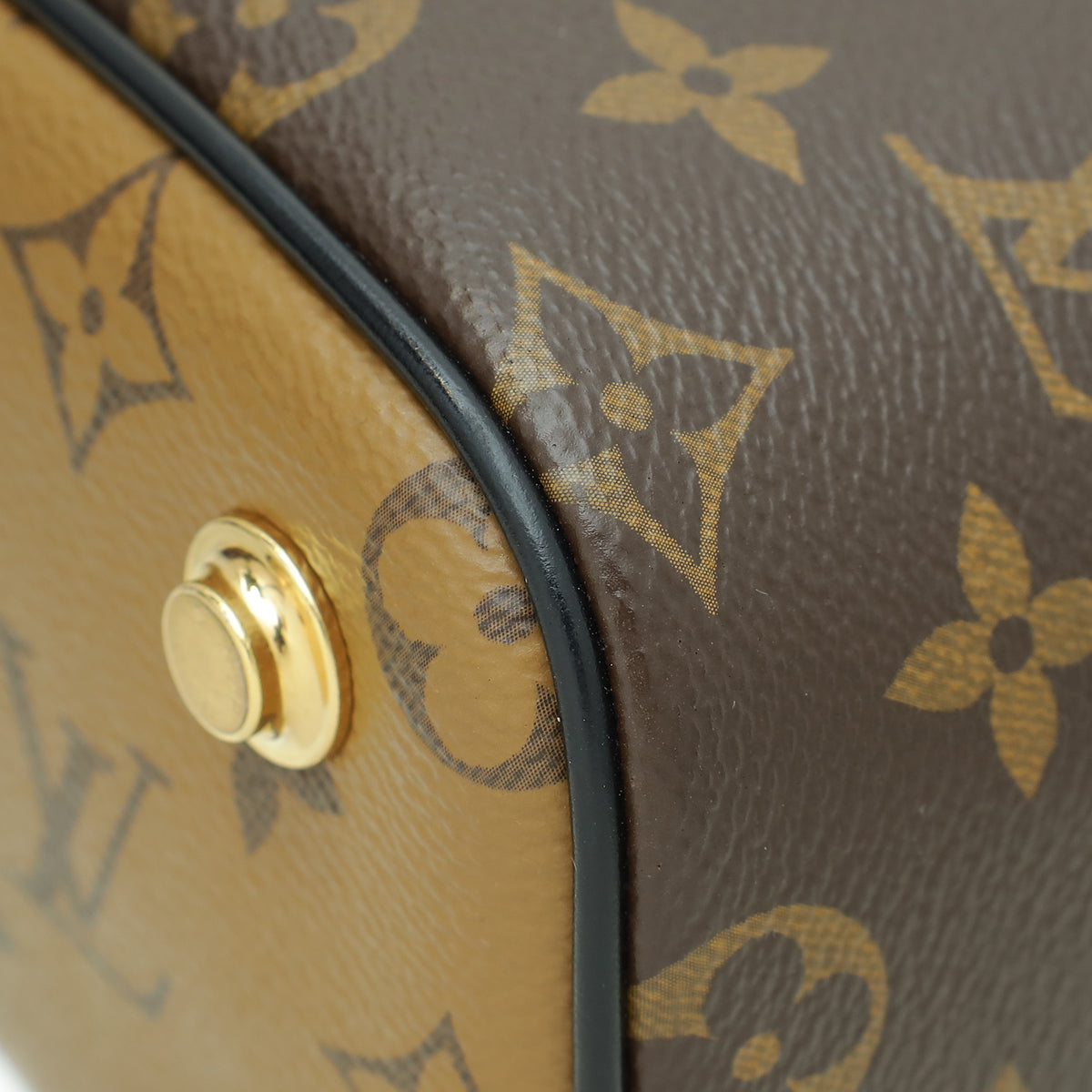 Louis Vuitton Monogram Reverse Vanity PM Bag