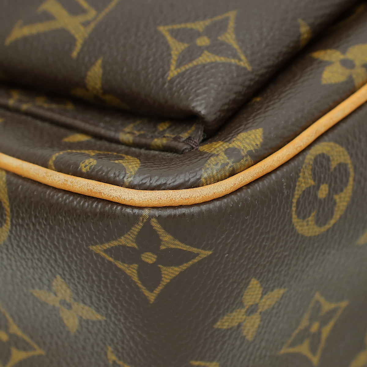 Louis Vuitton Monogram Viva Cite GM Bag