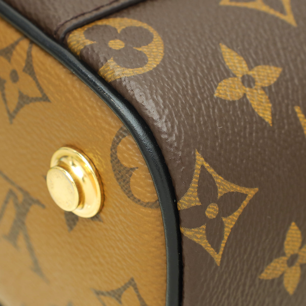 Louis Vuitton Bicolor Monogram Reverse Vanity PM Bag