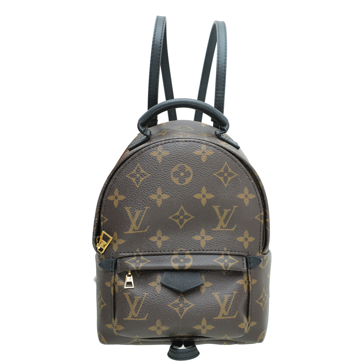 Louis Vuitton Monogram Palm Spring Mini Backpack Bag