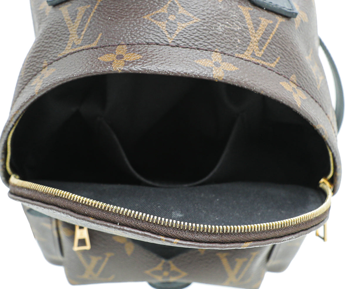 Louis Vuitton Monogram Palm Spring Mini Backpack Bag